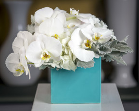 Картинка цветы букеты +композиции гортензия орхидеи
