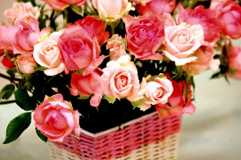 Картинка цветы розы корзинка розовый