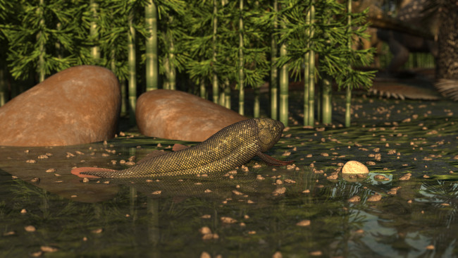 Обои картинки фото 3д графика, животные , animals, пруд, камни, бамбук, рыба
