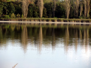 Картинка природа реки озера отражение вода