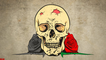Картинка рисованное минимализм розы череп
