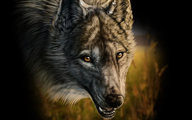 Обои картинки фото рисованное, животные,  волки, волк, клыки, трава