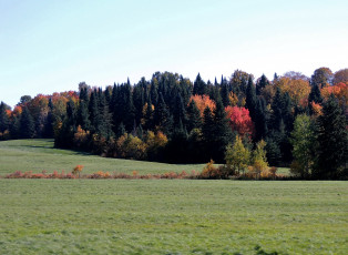 Картинка природа луга осень