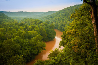 Картинка природа пейзажи вид лес река