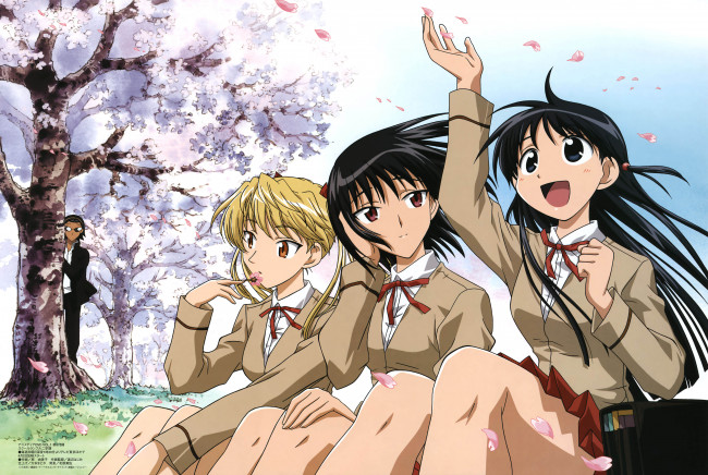 Обои картинки фото аниме, school rumble, дерево, цветение, весна, сакура, наблюдение, парень, девушки