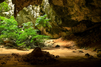 Картинка природа горы кустарник пещера