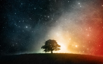 обоя разное, компьютерный дизайн, дерево, трава, небо, звезды