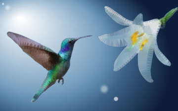 Картинка векторная+графика животные+ animals колибри ave цветок low poly экзотические оперение