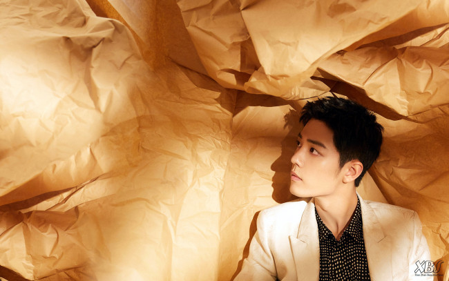 Обои картинки фото мужчины, xiao zhan, актер, лицо, пиджак, бумага