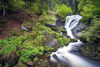 обоя triberger waterfall, germany, природа, водопады, triberger, waterfall