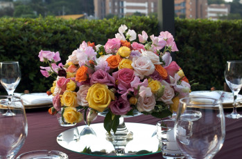Картинка цветы букеты композиции розы разноцветный сервировка