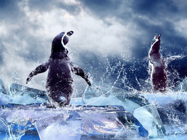 Обои картинки фото животные, пингвины, льдины, брызги, облака