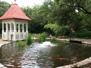 Картинка zilker botanical garden сша texas природа парк