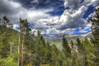 Картинка природа облака лес горы