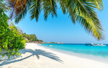 Картинка природа тропики берег пальмы песок palms море пляж sand tropical shore paradise sea beach summer небо