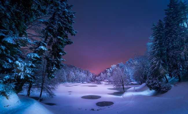 Обои картинки фото природа, зима, пруд, деревья, снег