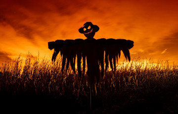 Картинка праздничные хэллоуин поле ночь scarecrow