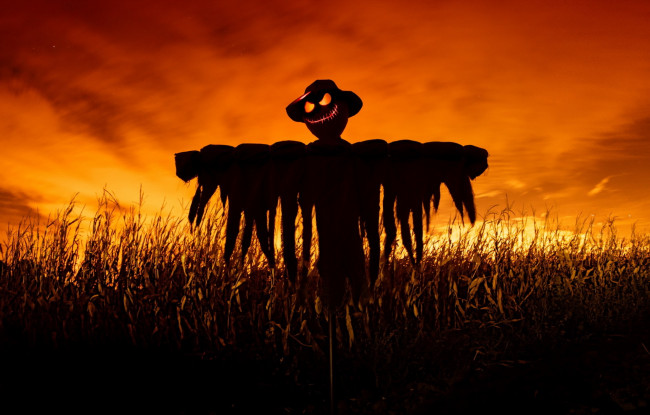 Обои картинки фото праздничные, хэллоуин, поле, ночь, scarecrow