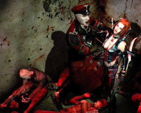Картинка видео игры bloodrayne