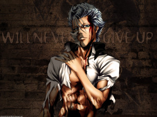 Картинка аниме bleach grimmjow