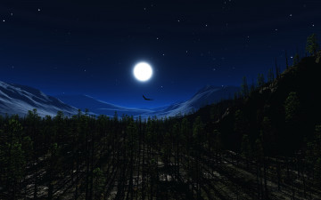 Картинка 3д графика nature landscape природа лес луна ночь