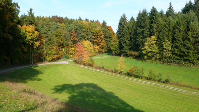 Обои картинки фото franconia, autumn, природа, лес, осень, поле, дорога