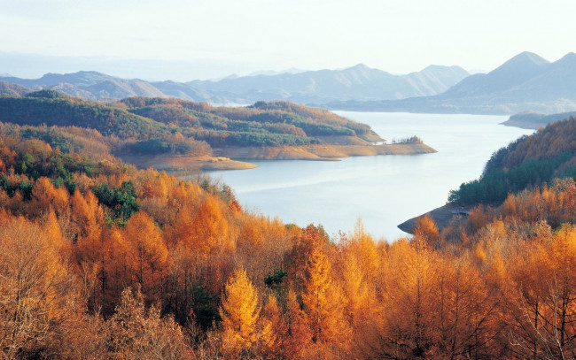 Обои картинки фото природа, реки, озера, осень, река, деревья, желтые, кроны, холмы, простор