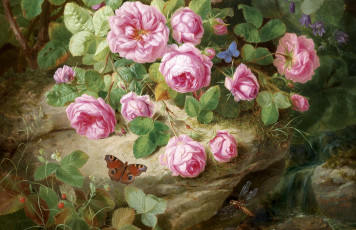 Картинка рисованные цветы розы бабочка