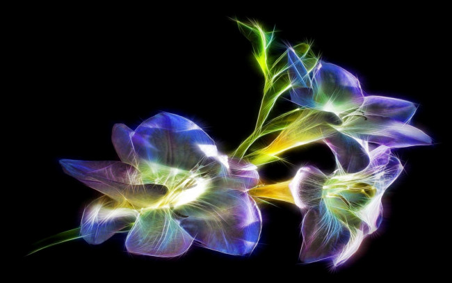 Обои картинки фото 3д графика, цветы , flowers, цветы