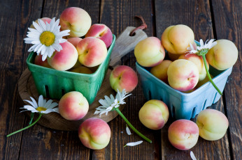 Картинка еда персики +сливы +абрикосы ромашки миски ягоды цветы