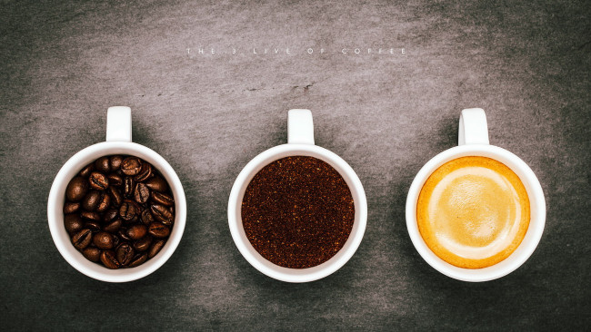 Обои картинки фото еда, кофе,  кофейные зёрна, чашки, зерна, молотый