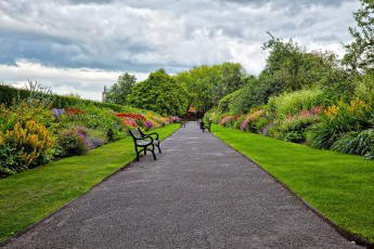 Картинка природа парк кусты цветущие скамейки аллея