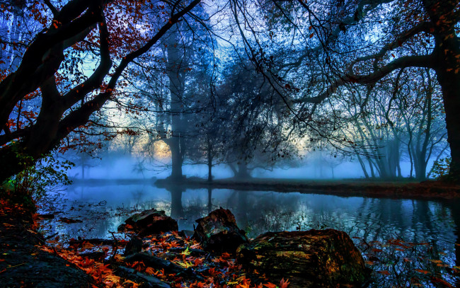 Обои картинки фото природа, реки, озера, туман, деревья, ветки, листья, камни, речка, осень, morden, hall, park, англия, лондон