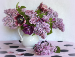 Картинка цветы букеты +композиции тюльпаны ветки скатерть сирень ваза