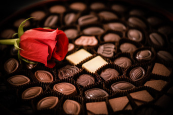Картинка еда конфеты +шоколад +сладости роза цветок шоколад ассорти набор