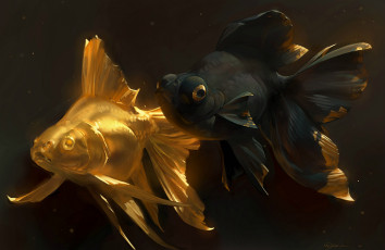 обоя рисованное, животные,  рыбы, золотая, рыбка, golden, fish, арт, парочка