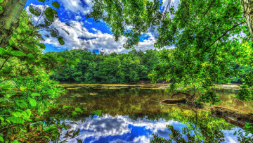 Картинка природа парк берлин озеро деревья пейзаж