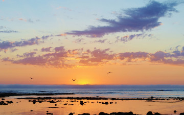 Картинка природа восходы закаты камни зеркало бассейн облака горизонт восход птицы море чайка отражение