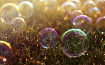 Картинка разное капли +брызги +всплески трава цветные мыльные пузыри боке
