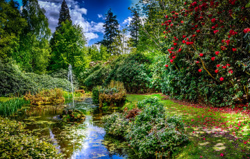 Картинка природа парк струя кусты фонтан деревья лепестки