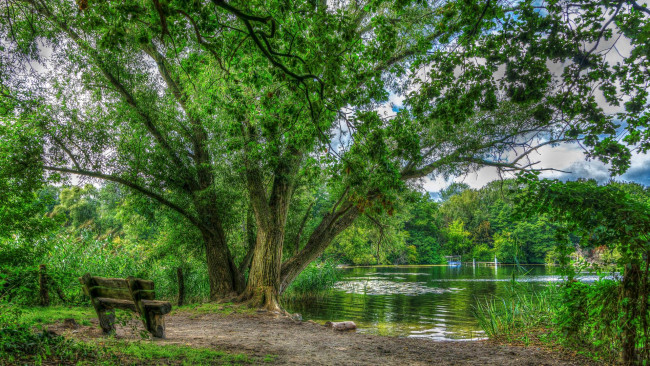 Обои картинки фото природа, парк, берлин, озеро, деревья, пейзаж