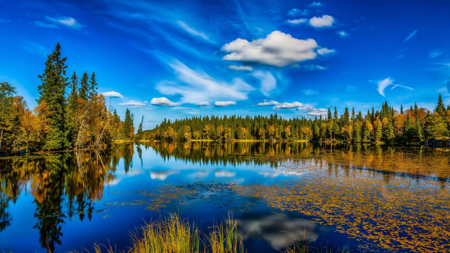 Обои картинки фото природа, реки, озера, озеро, осень, лес, деревья, пейзаж