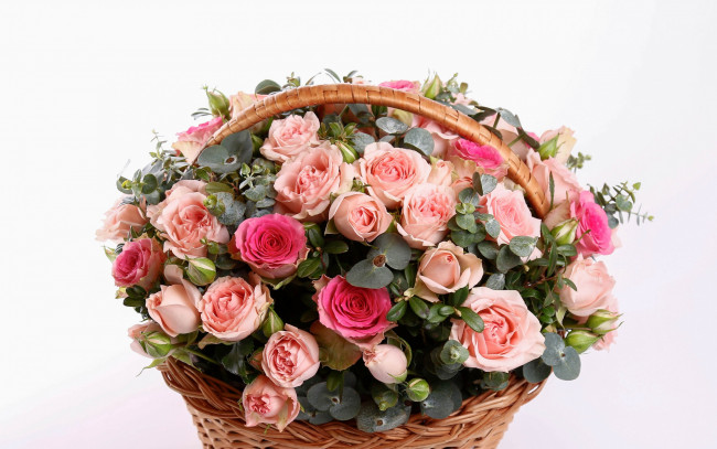 Обои картинки фото цветы, розы, корзина, шикарный, букет, basket