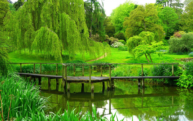 Обои картинки фото природа, парк, деревья, англия, мостик, park