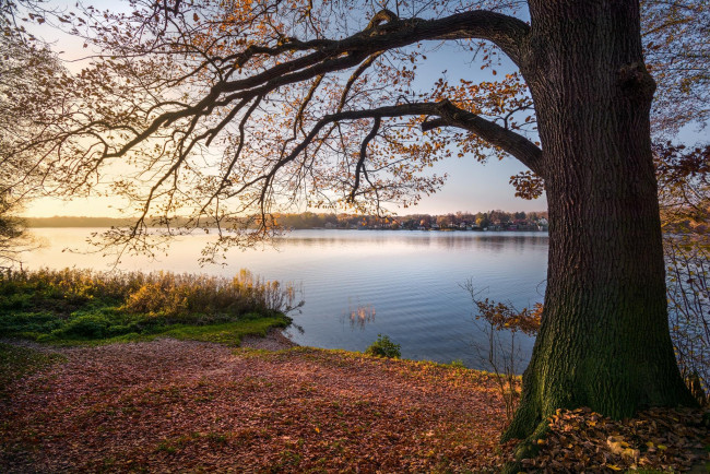 Обои картинки фото природа, реки, озера, осень, озеро, закат, деревья, пейзаж