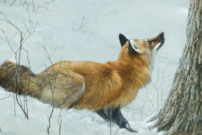 Обои картинки фото рисованное, животные,  лисы, лес, лиса, robert, bateman, зима, арт, снег