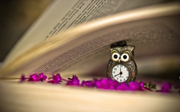 обоя разное, часы,  часовые механизмы, книга, сова, цветы