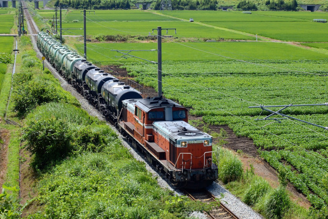 Обои картинки фото техника, поезда, локомотив, поезд