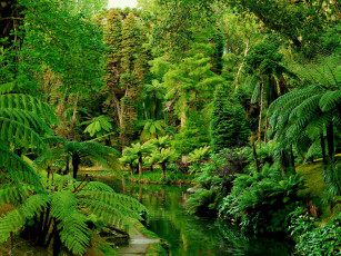 Картинка botanical gardens furnas португалия природа парк растения сад река
