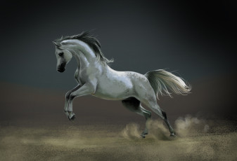 обоя рисованные, животные, лошади, лошадь, пыль, белая